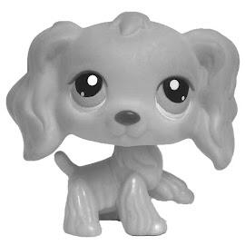 cocker spaniel