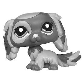 king charles spaniel