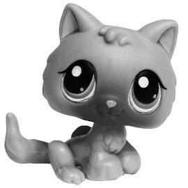 kitten v1