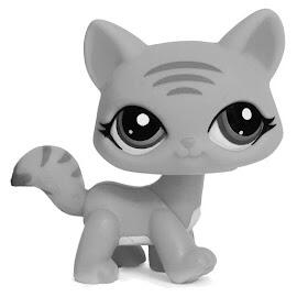 destiny cat