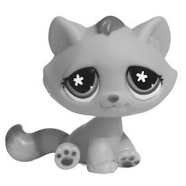 bon bon cat