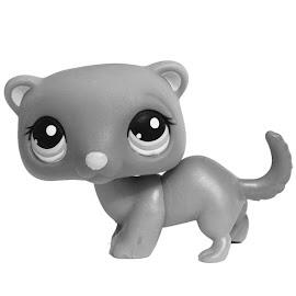 ferret