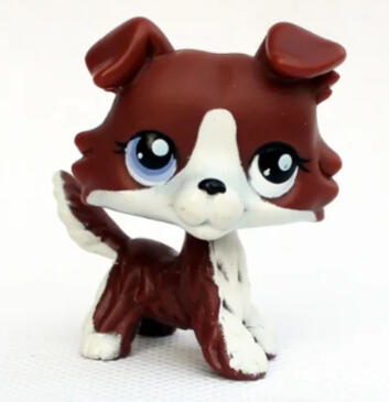 No # (Puzzle Collie)