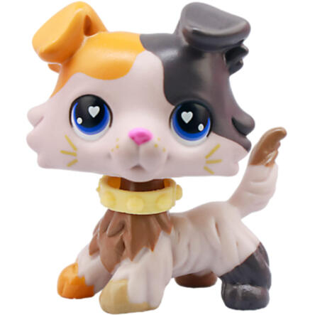 calico collie