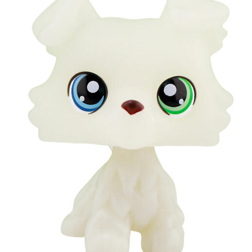 luminous collie
