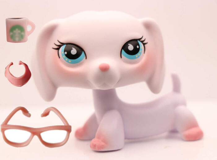 peach dachshund